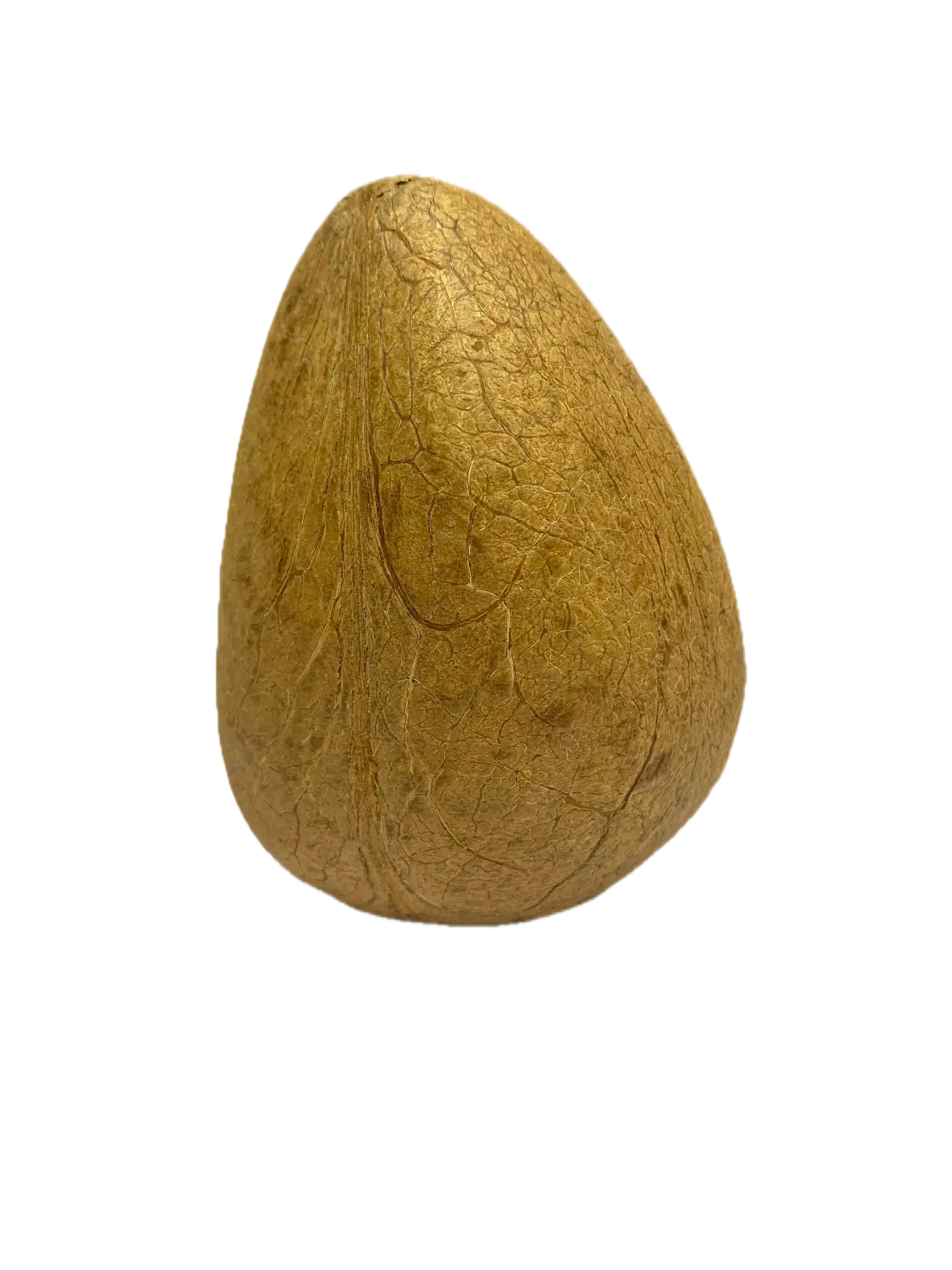 Coconut whole dry  1 unit